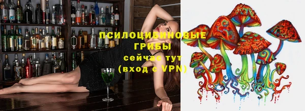 apvp Абинск