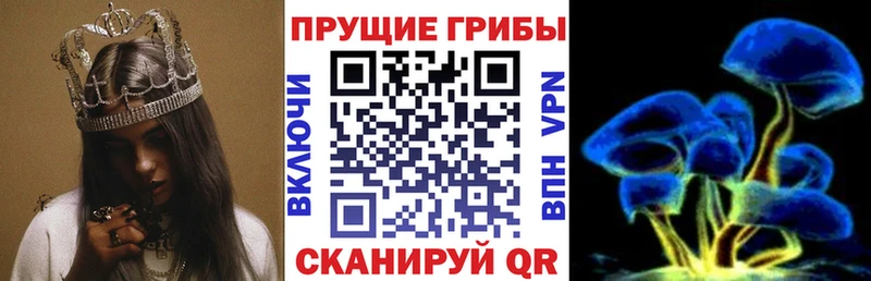 как найти наркотики  Омск  Галлюциногенные грибы MAGIC MUSHROOMS 